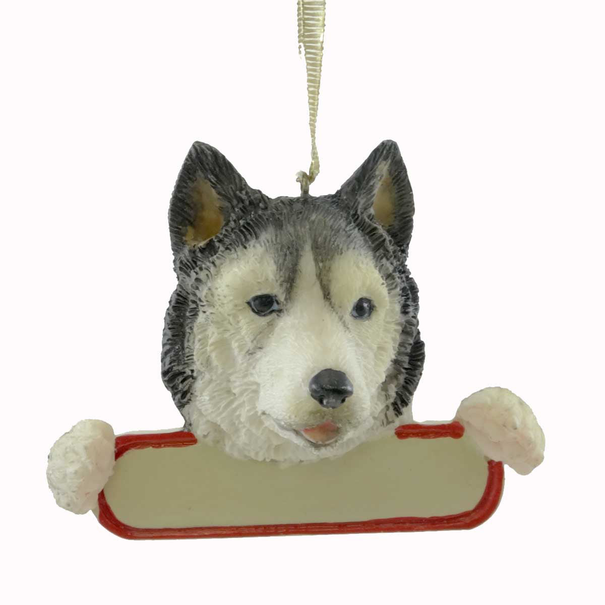 (20919) Siberian Husky
