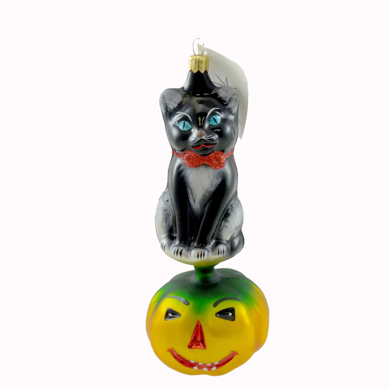 Christopher Radko Kitty Patch Glass Ornament Pumpkin Halloween (21192)