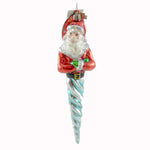 Christopher Radko St Nickcicle Glass Ornament Santa Christmas (21200)