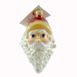 Christopher Radko Two's Company Glass Ornament Christmas Santa (21261)