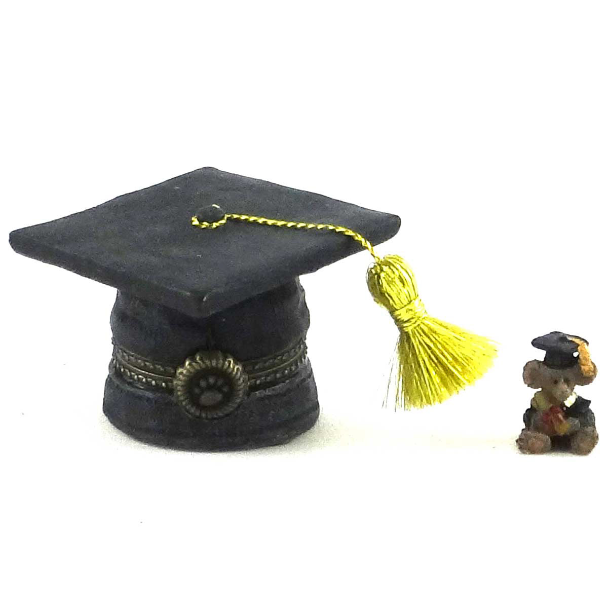 (22156) Scholar's Cap Einstein Mcnibble