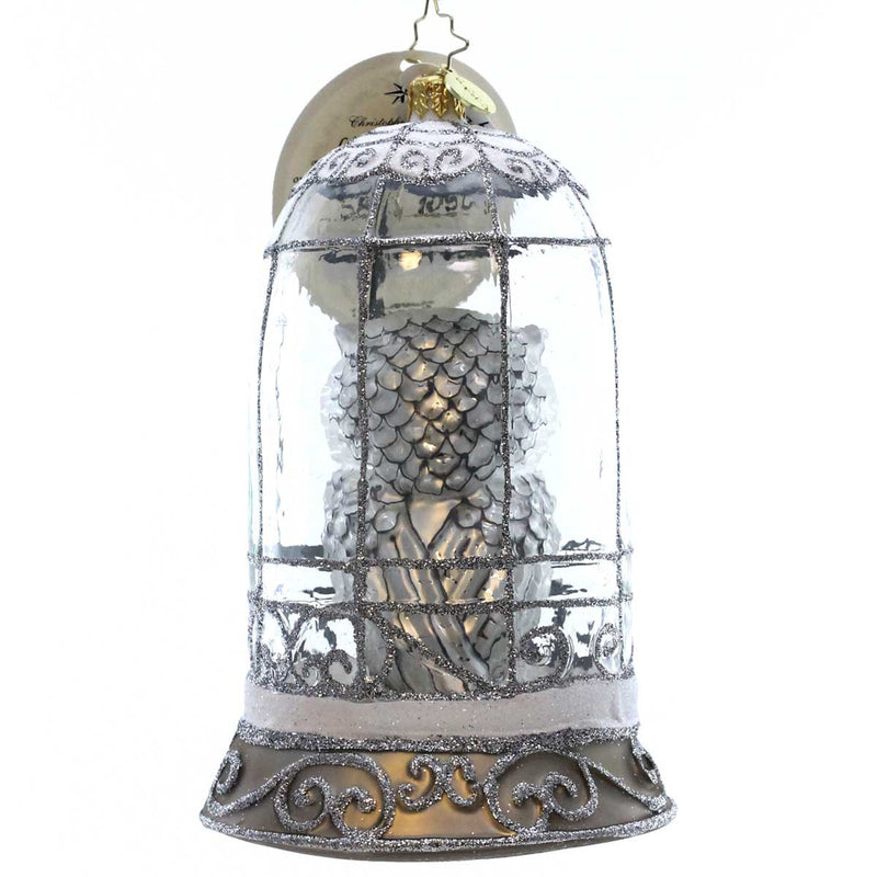 Christopher Radko Wisdom On Display - - SBKGifts.com