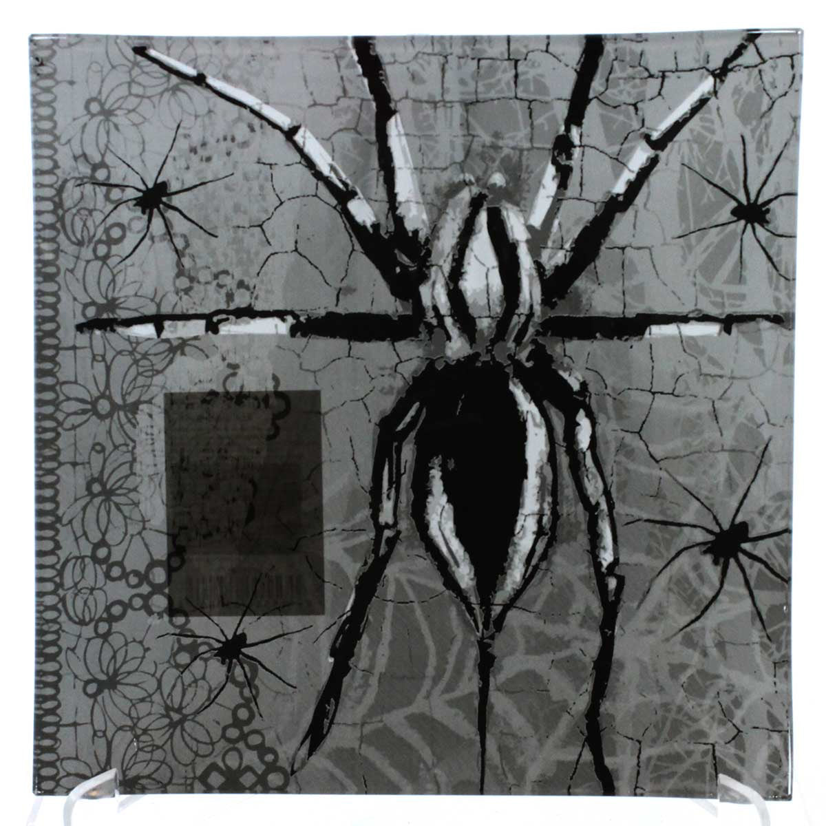 SPIDER