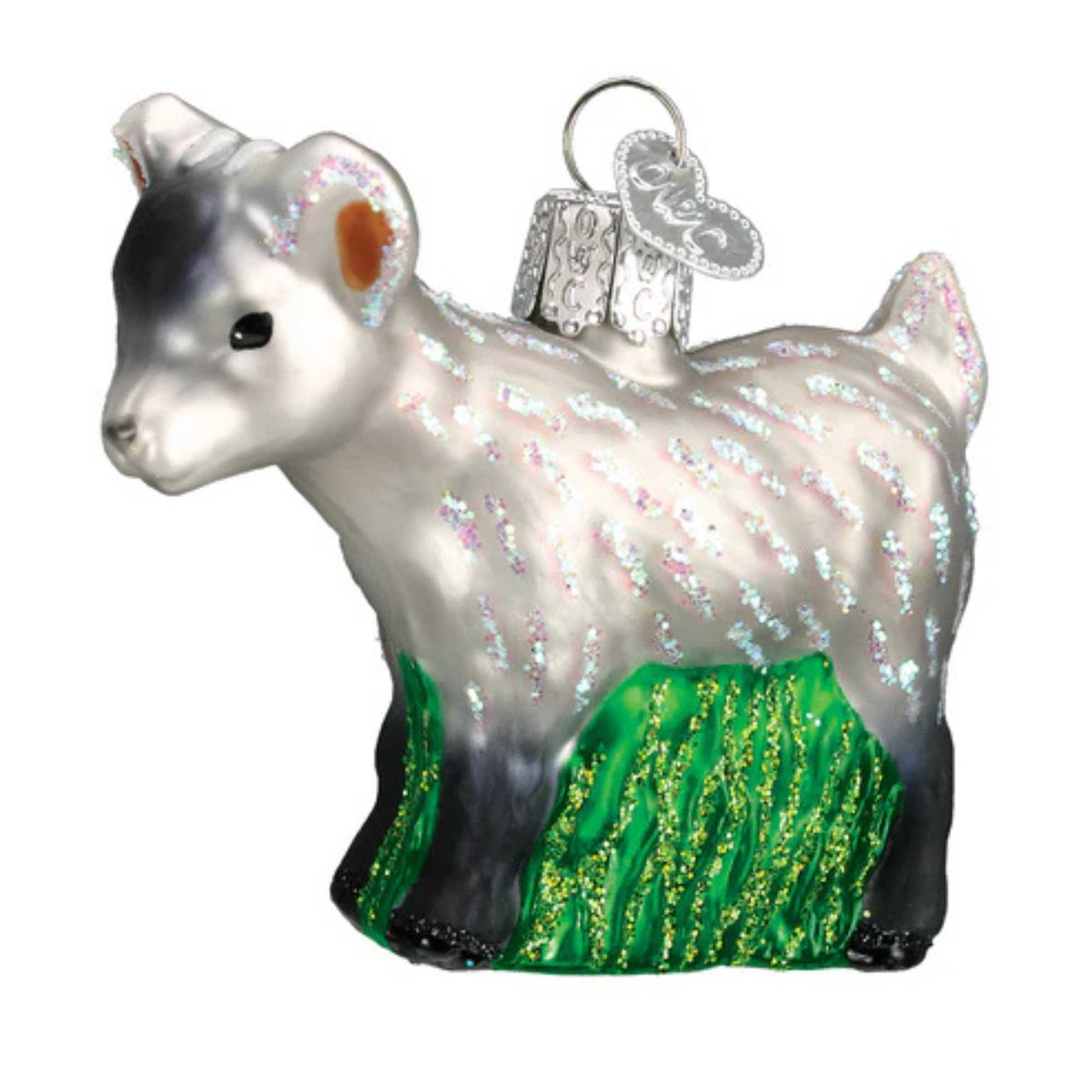 23752 Pygmy Goat 12285
