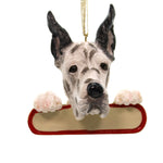 Holiday Ornament Harlequin Great Dane Personalize It Dyi Dog Pet 21866A