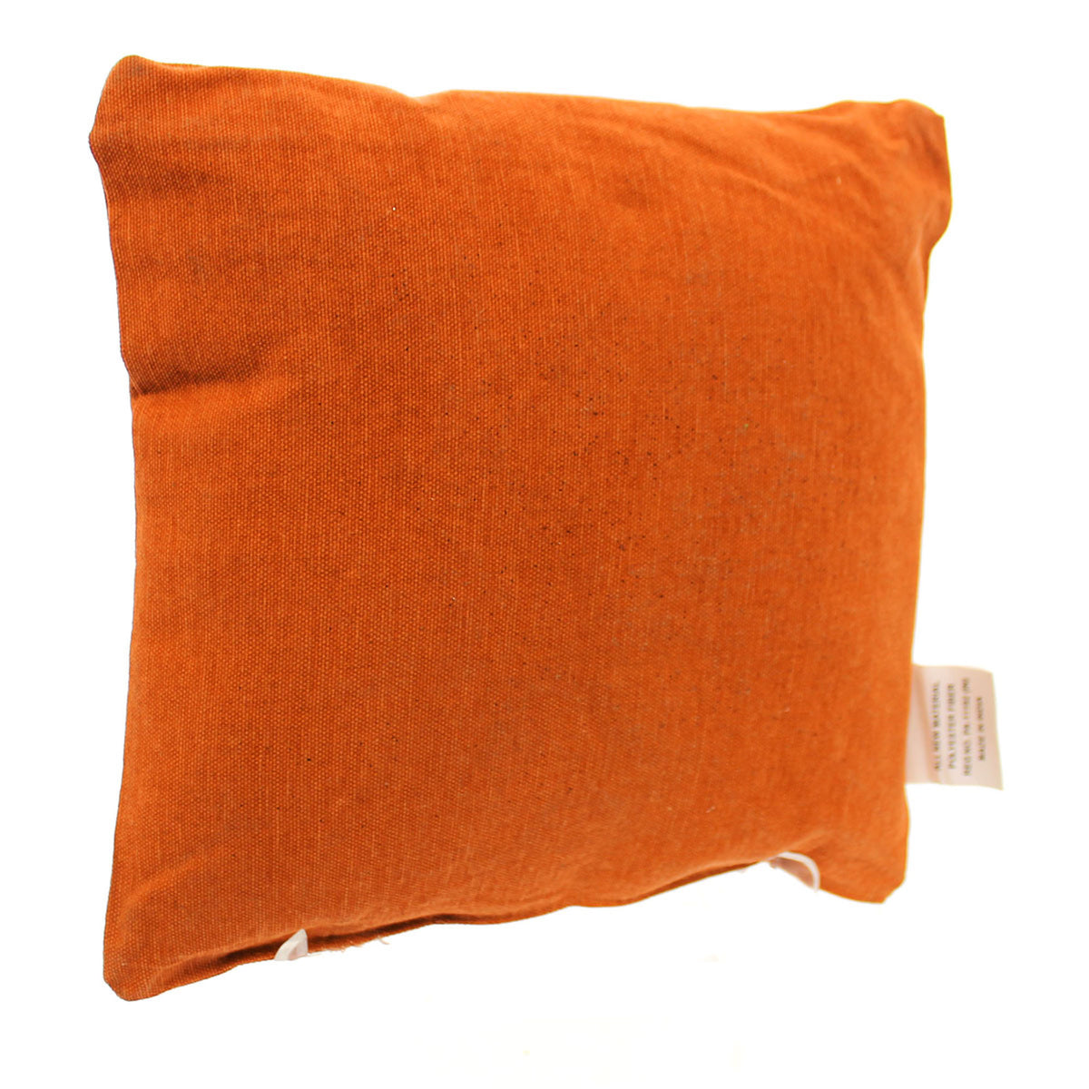 Halloween Crow Pillow - - SBKGifts.com