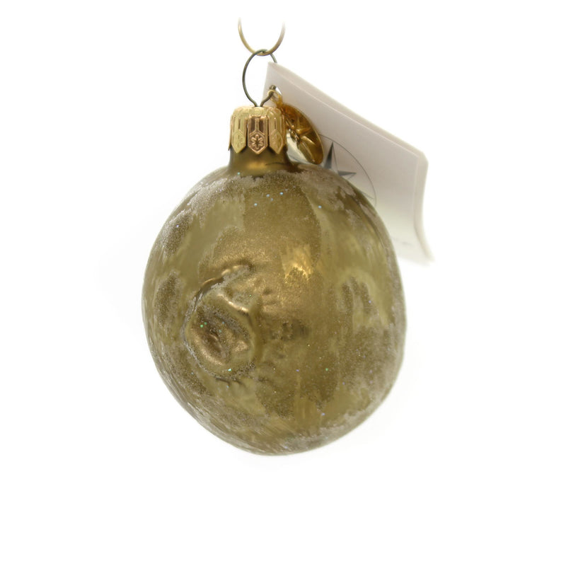 Christopher Radko Kiwi - - SBKGifts.com