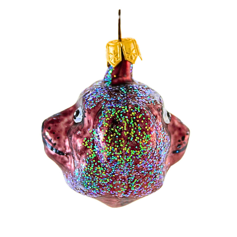Christopher Radko Here Boy - - SBKGifts.com