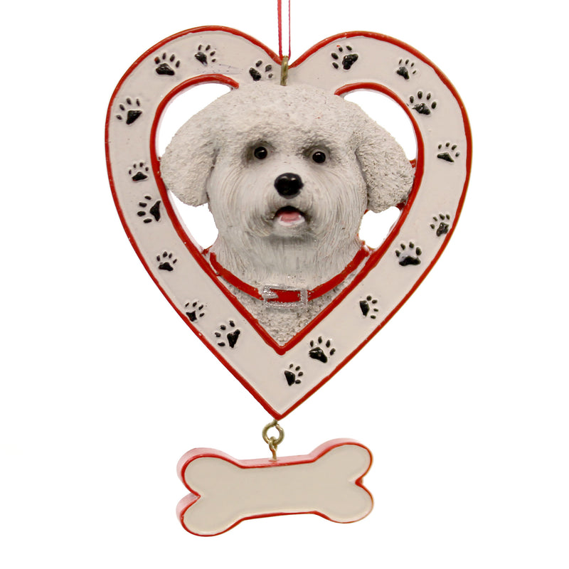 BICHON FRISE