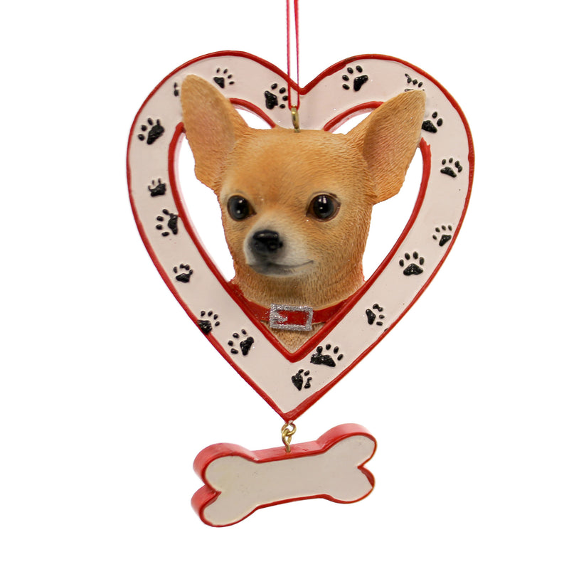 CHIHUAHUA
