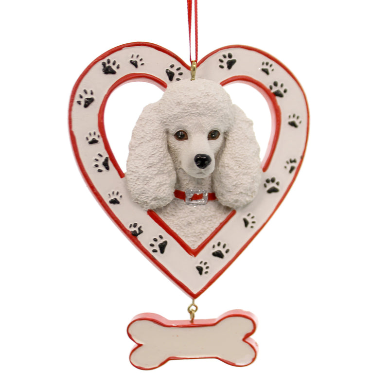 POODLE