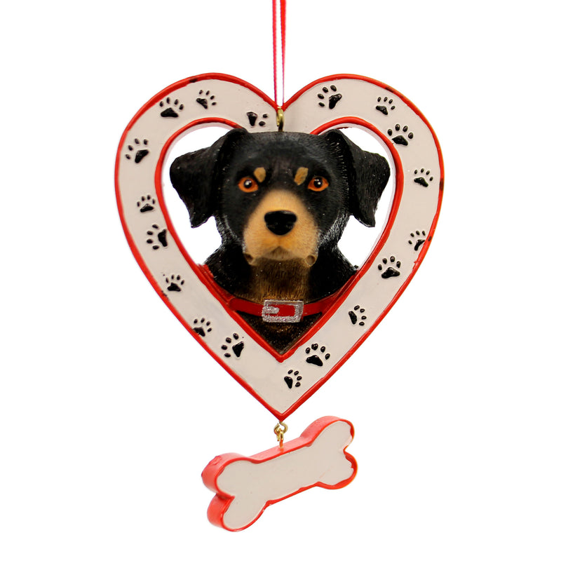 ROTTWEILLER