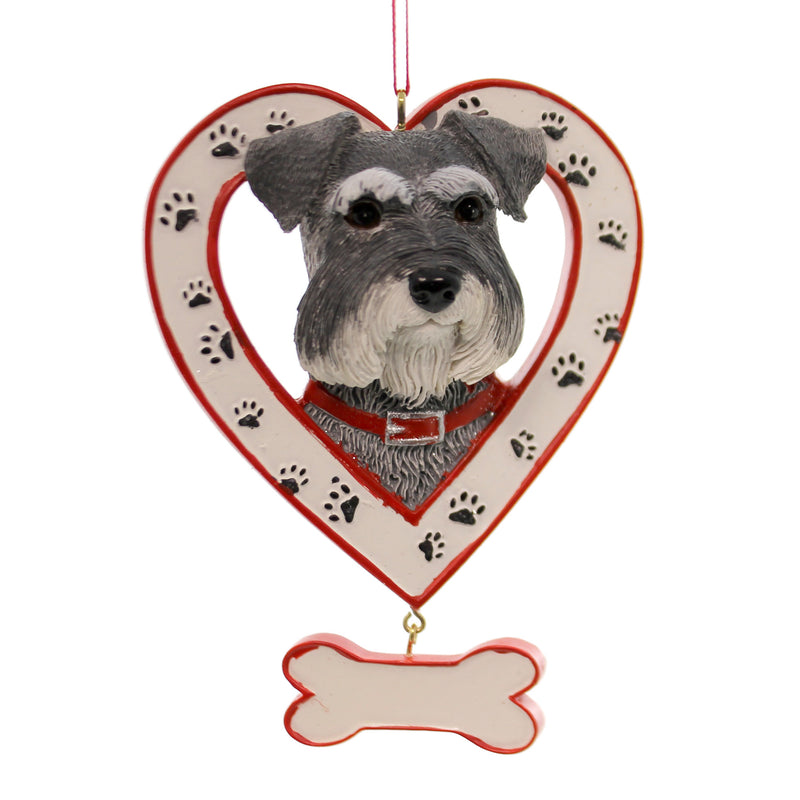 SCHNAUZER