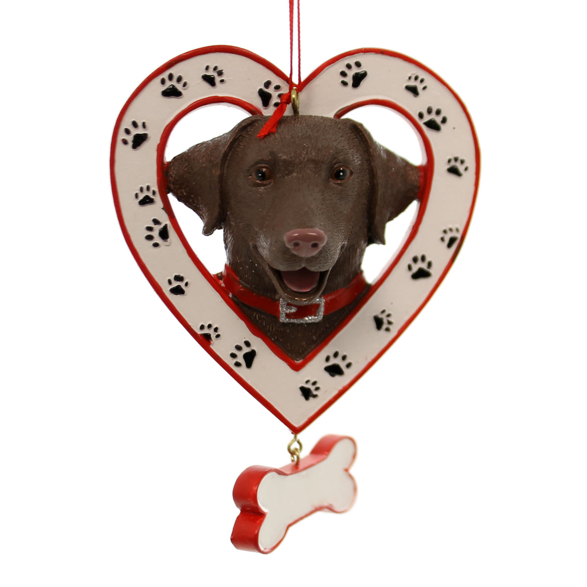 CHOCOLATE LAB