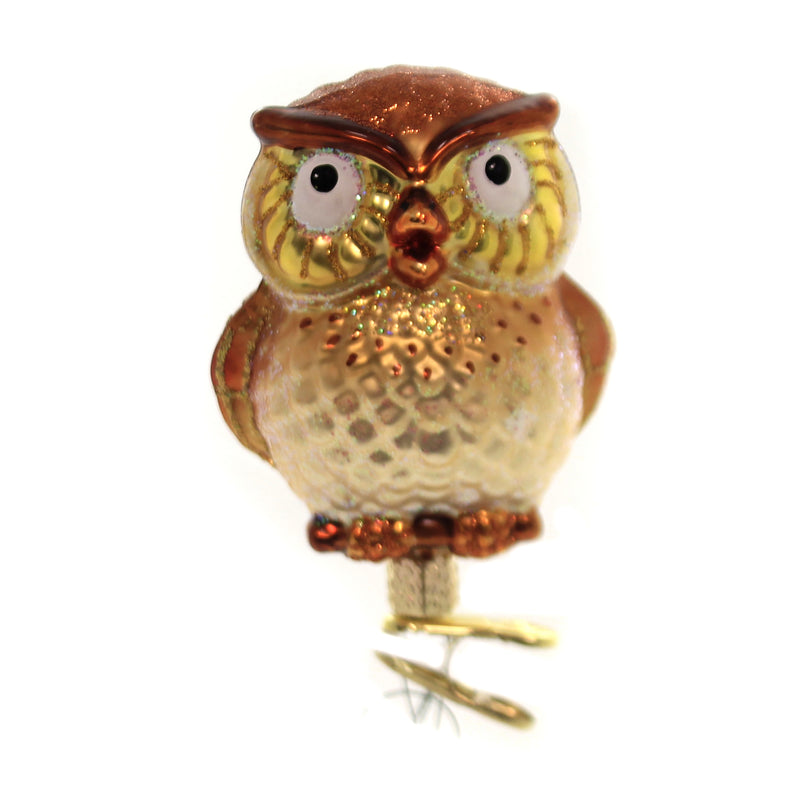 Old World Christmas Hootie Cutie Owl Wisdom Clip-On 18106 (27146)