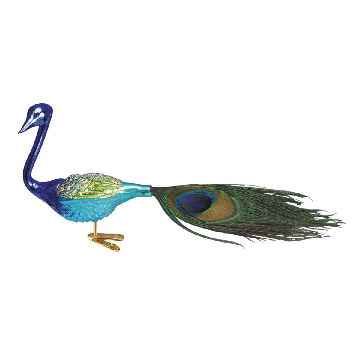 (28316) Magnificent Peacock