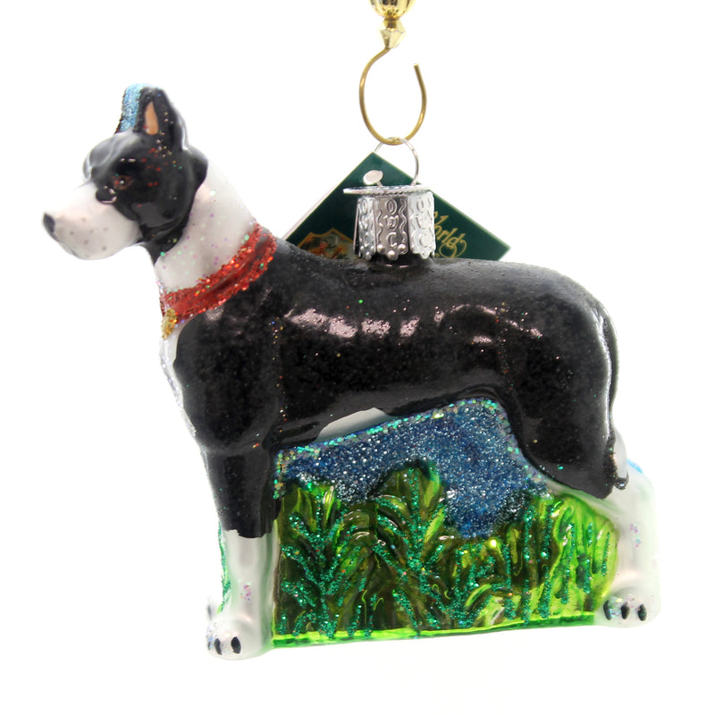 Old World Christmas Great Dane Glass Apollo Of Dogs Best Friend 12474 (28393)