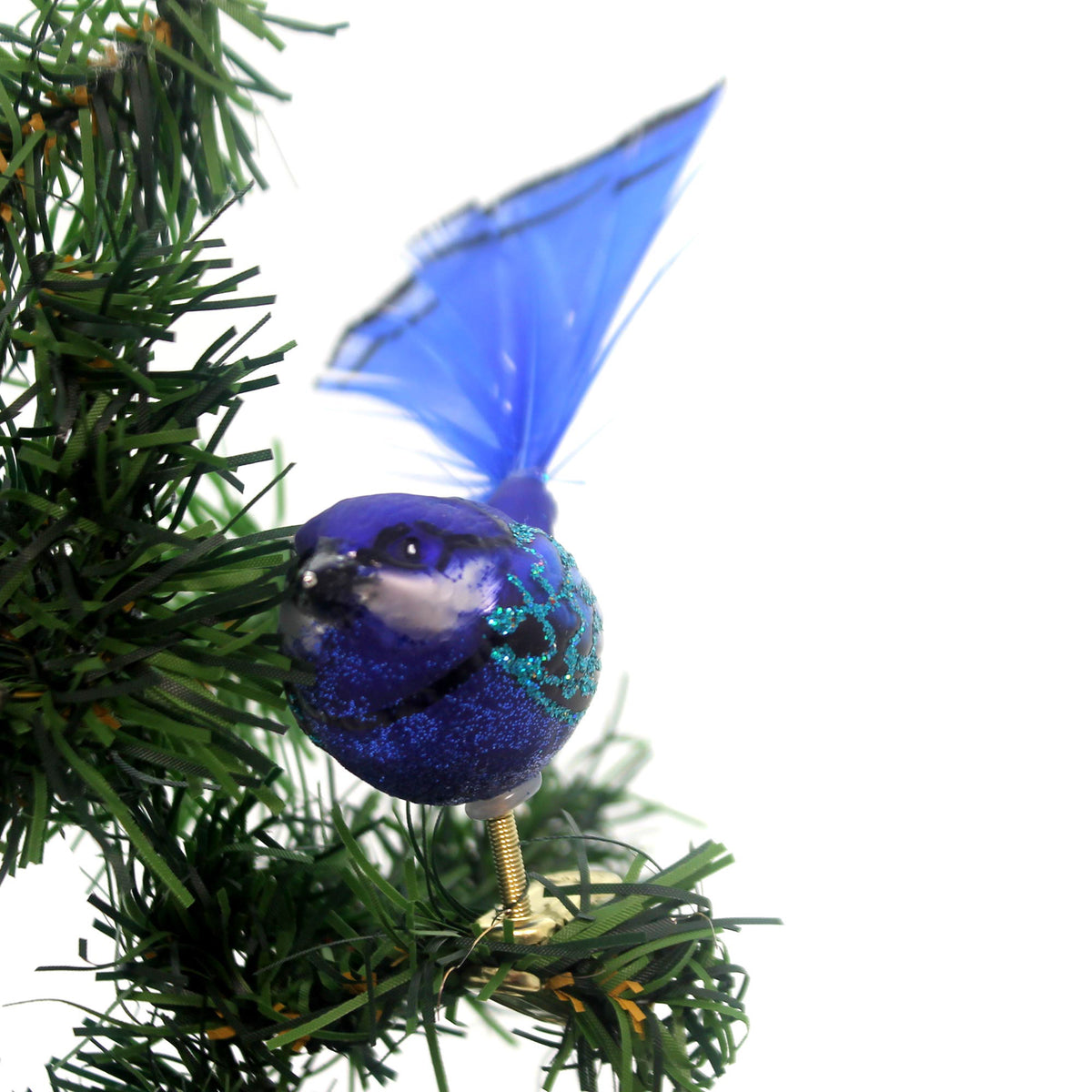 (29809) Fairy Wren