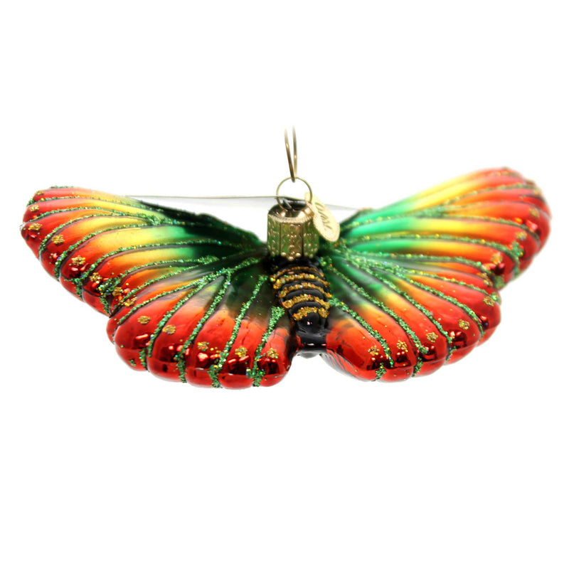 Old World Christmas Festive Butterfly - - SBKGifts.com