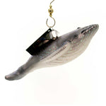 Old World Christmas Humpback Whale - - SBKGifts.com