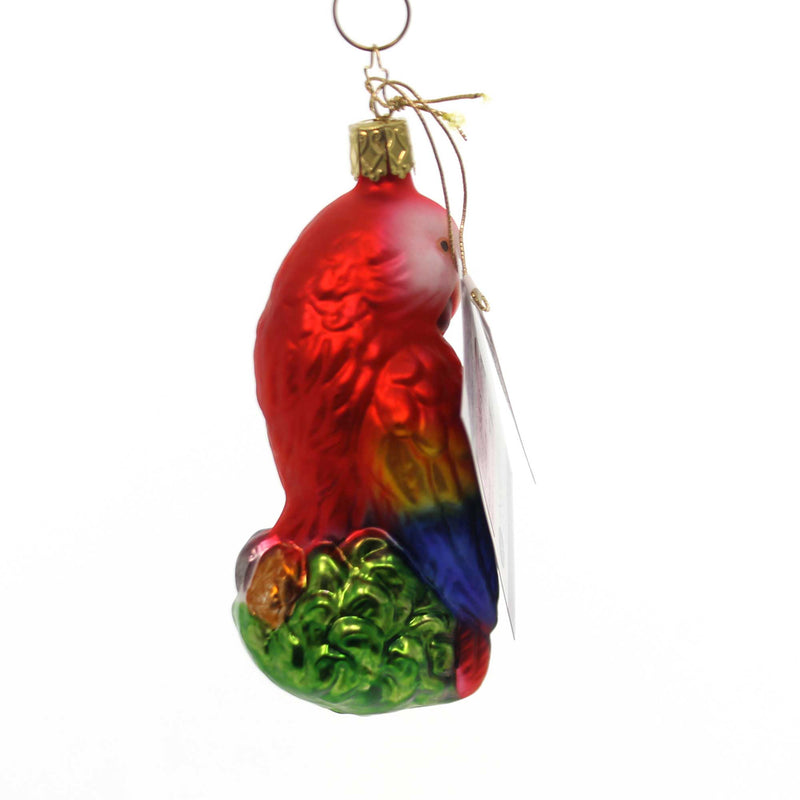 Inge Glas Topical Beauty Bird - - SBKGifts.com