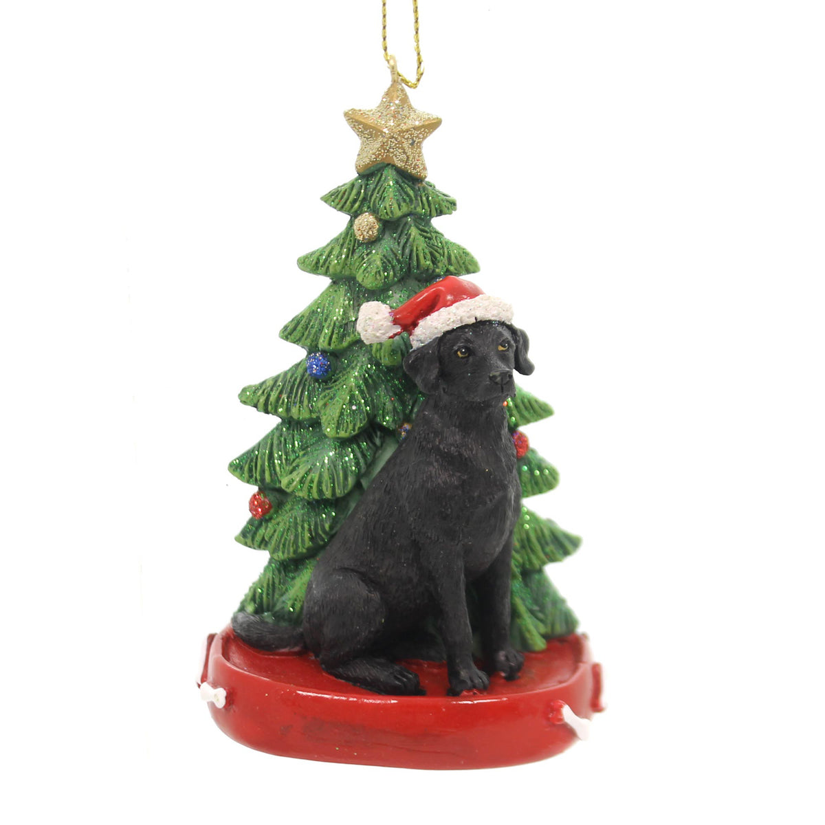 Black Lab