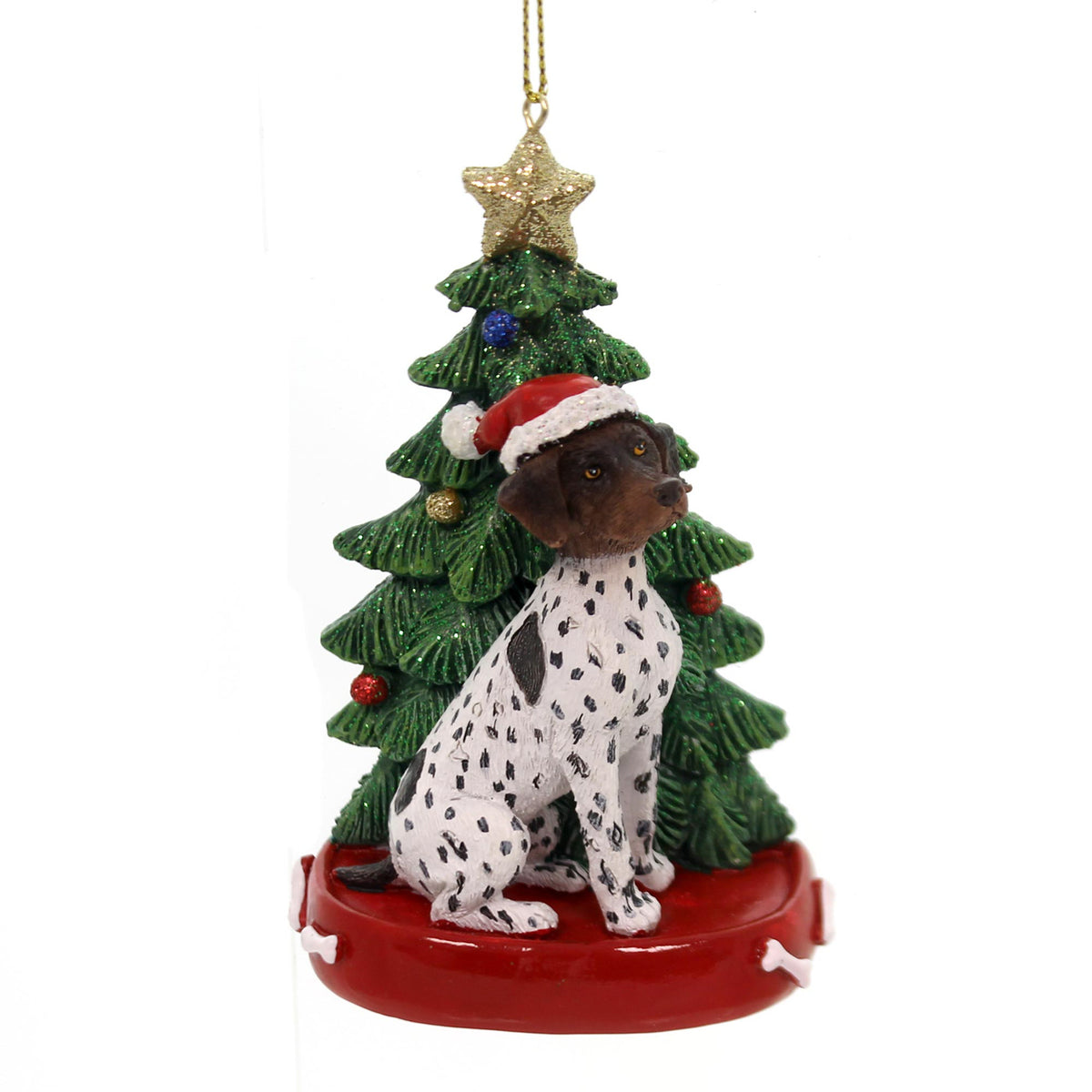 German Pointer