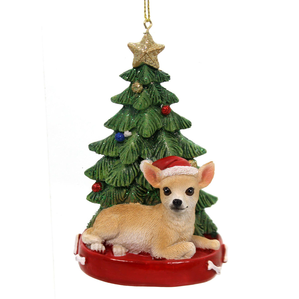 Chihuahua