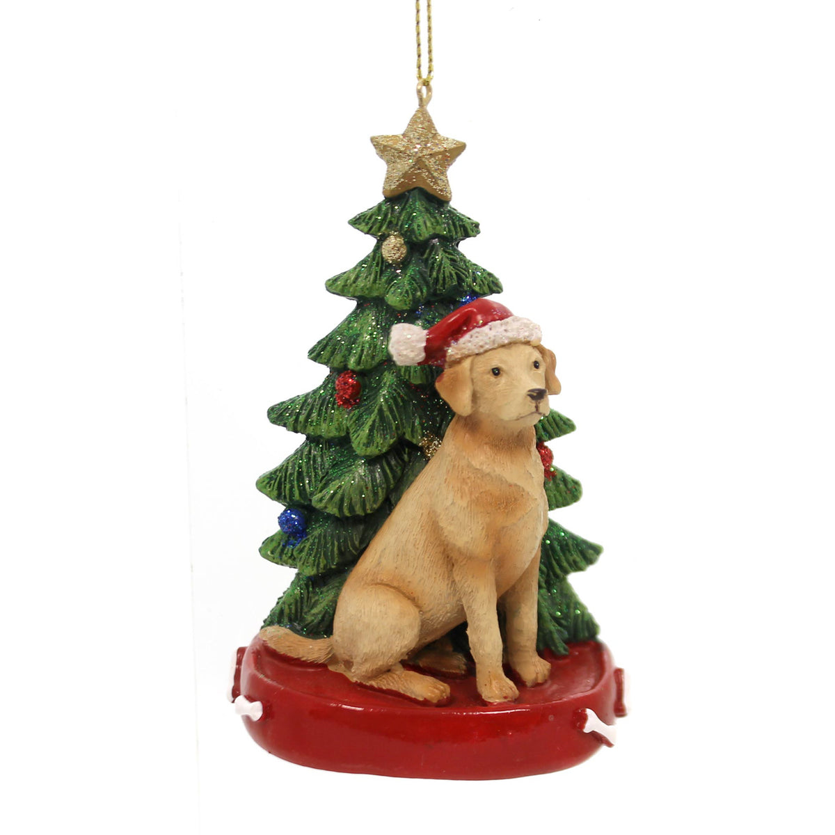 Yellow Lab