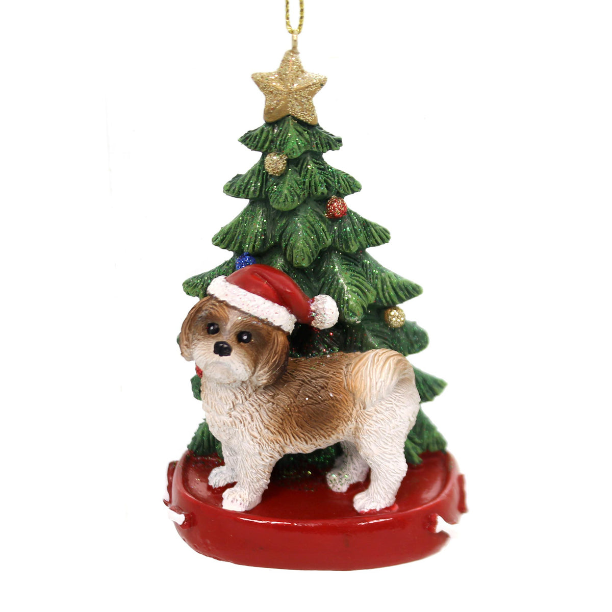 Shih Tzu
