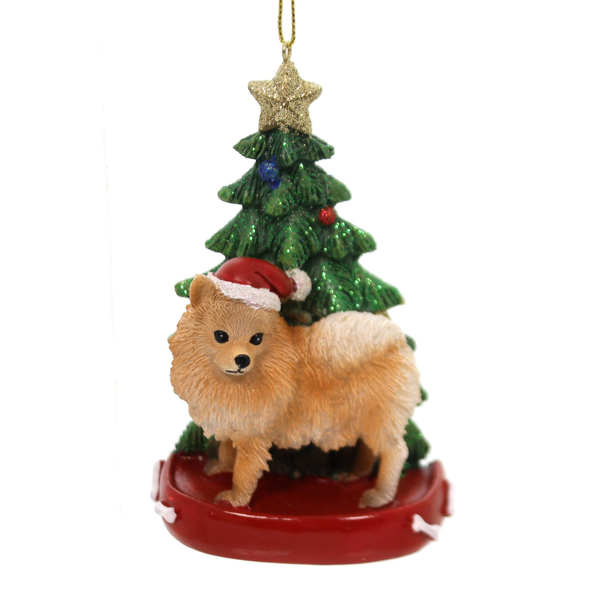 Pomeranian