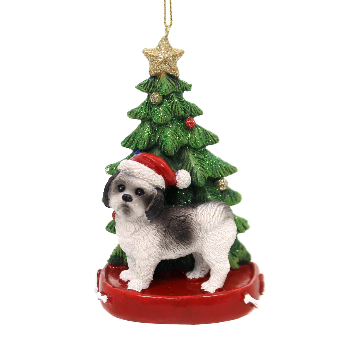 Black Shih Tzu