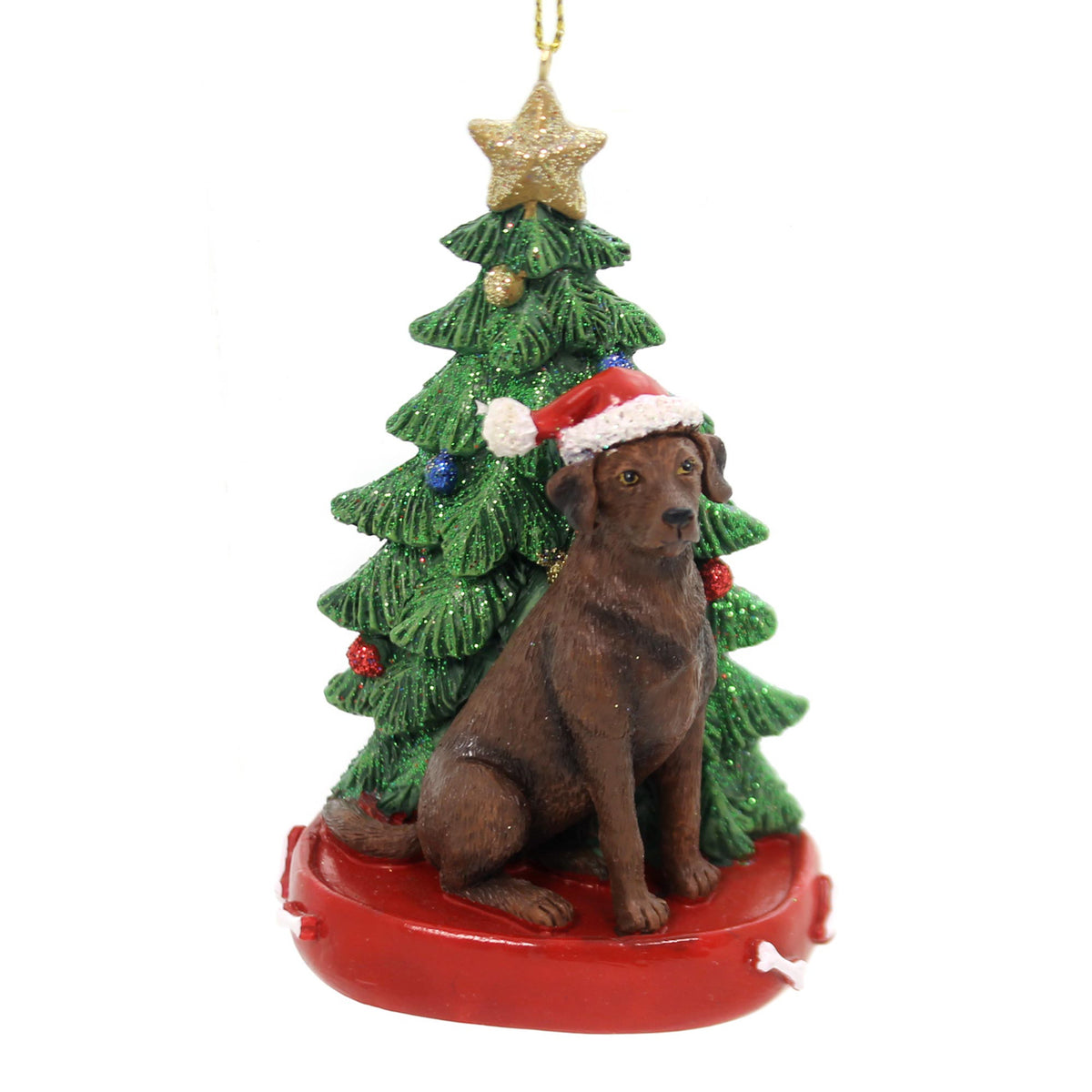 Chocolate Lab