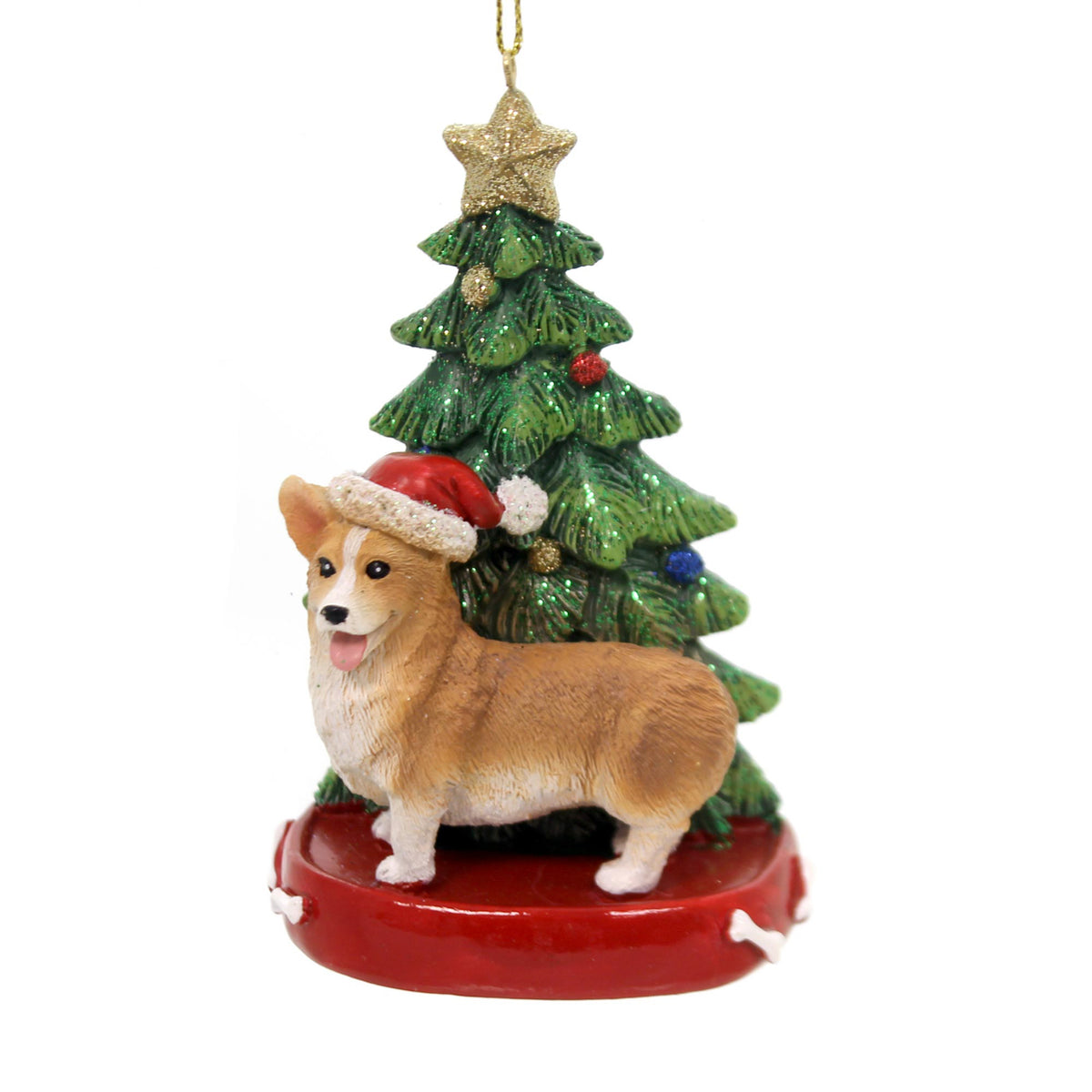 Welsh Corgi