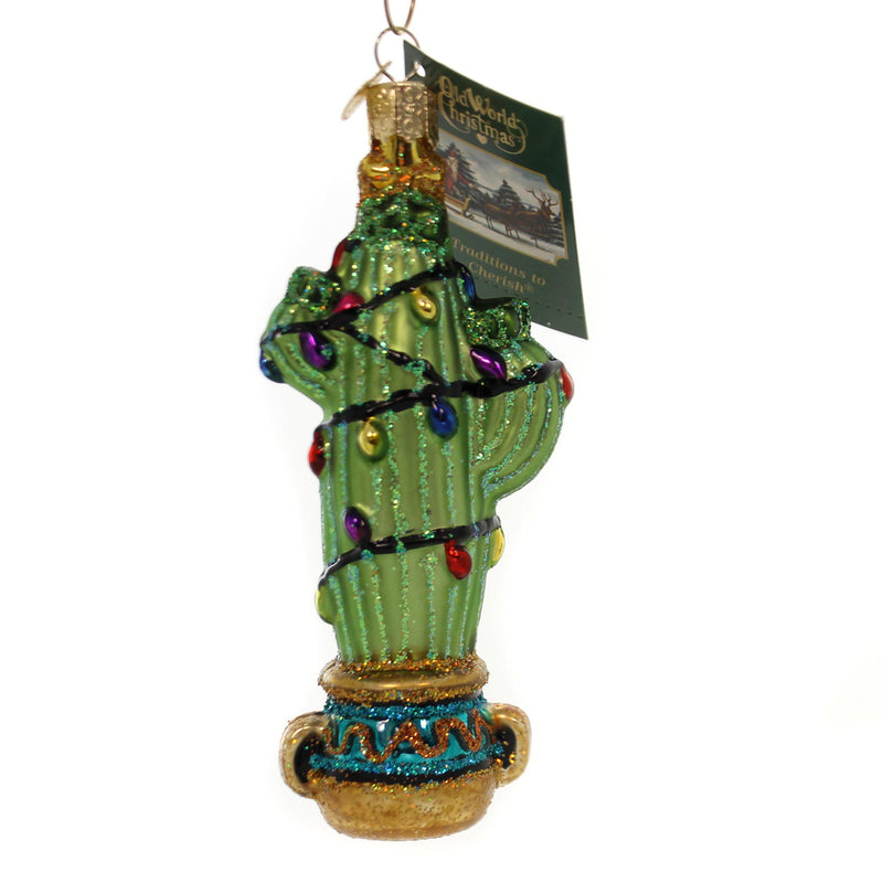 (36735) Christmas Cactus