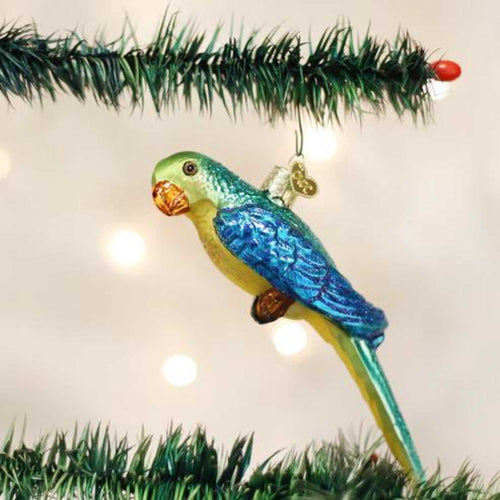 Old World Christmas Parakeet - - SBKGifts.com