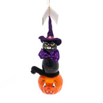 De Carlini Italian Ornaments Black Cat On Pumpkin - 1 Glass Ornament 7.25 Inch, Glass - Ornament Halloween Jol A5340 (37696)