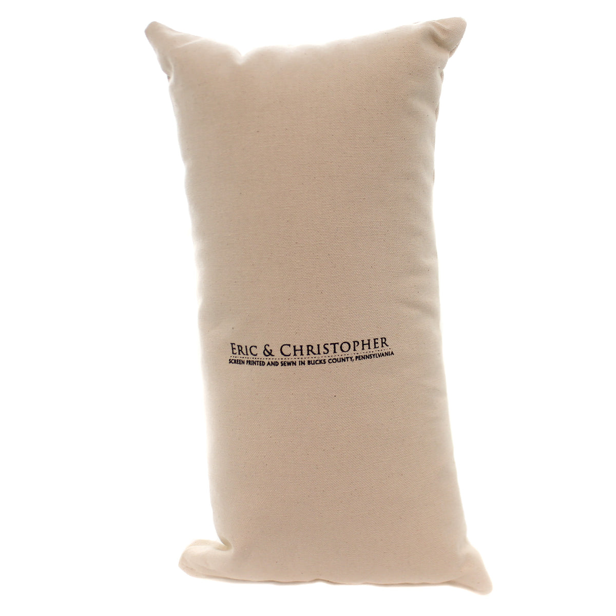 Christmas Santa Penquin Pillow Small - - SBKGifts.com