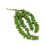 Designs Combined Inc Succulant Hanging Spray - One Plant Spray 7 Inch, Plastic - String Pearls Plant Kn609 (40413)