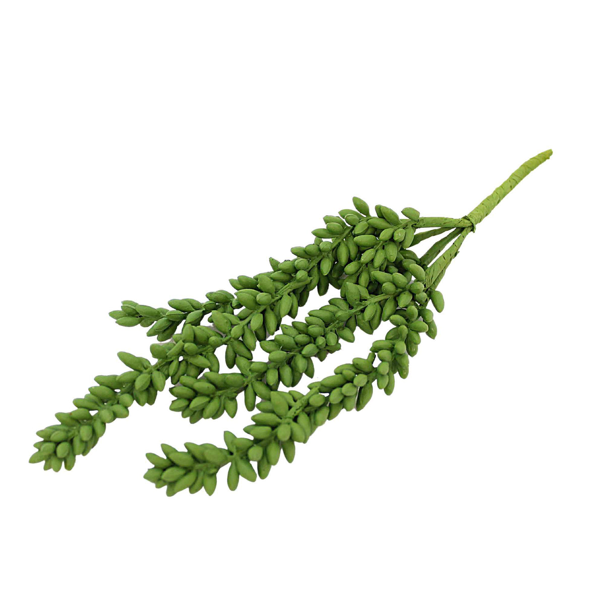 Designs Combined Inc Succulant Hanging Spray - - SBKGifts.com