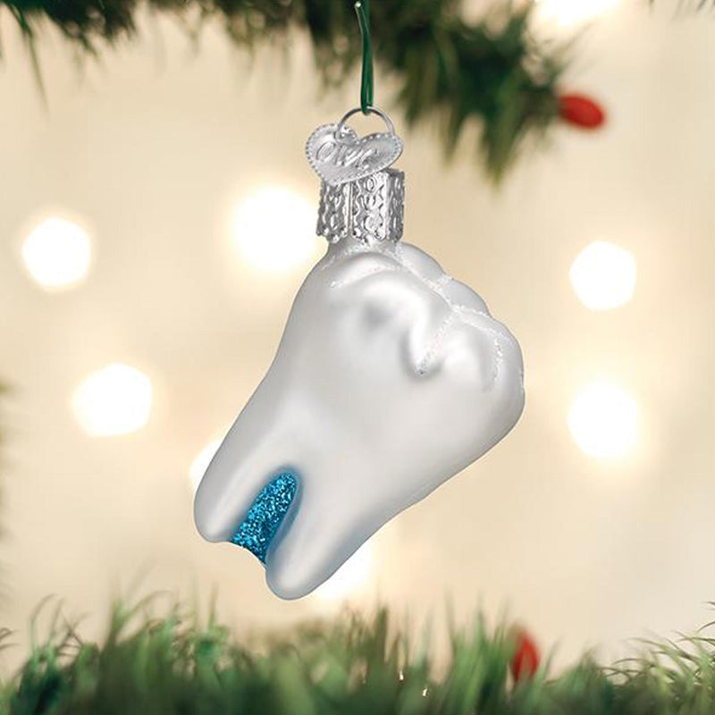 Old World Christmas Tooth - - SBKGifts.com