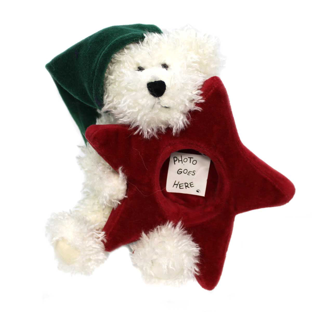 (4156) Twink L Starbeary