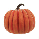 Halloween Cawing Pumpkin - - SBKGifts.com