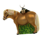 Shetland Pony - One Ornament 3.5 Inch, Glass - Gentle Hardy Intelligent 12557 (43337)
