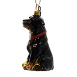 Rottweiler - 1 Ornament 3.5 Inch, Glass - Ornament Pet Set Dog Companion Zkp3825 (44349)