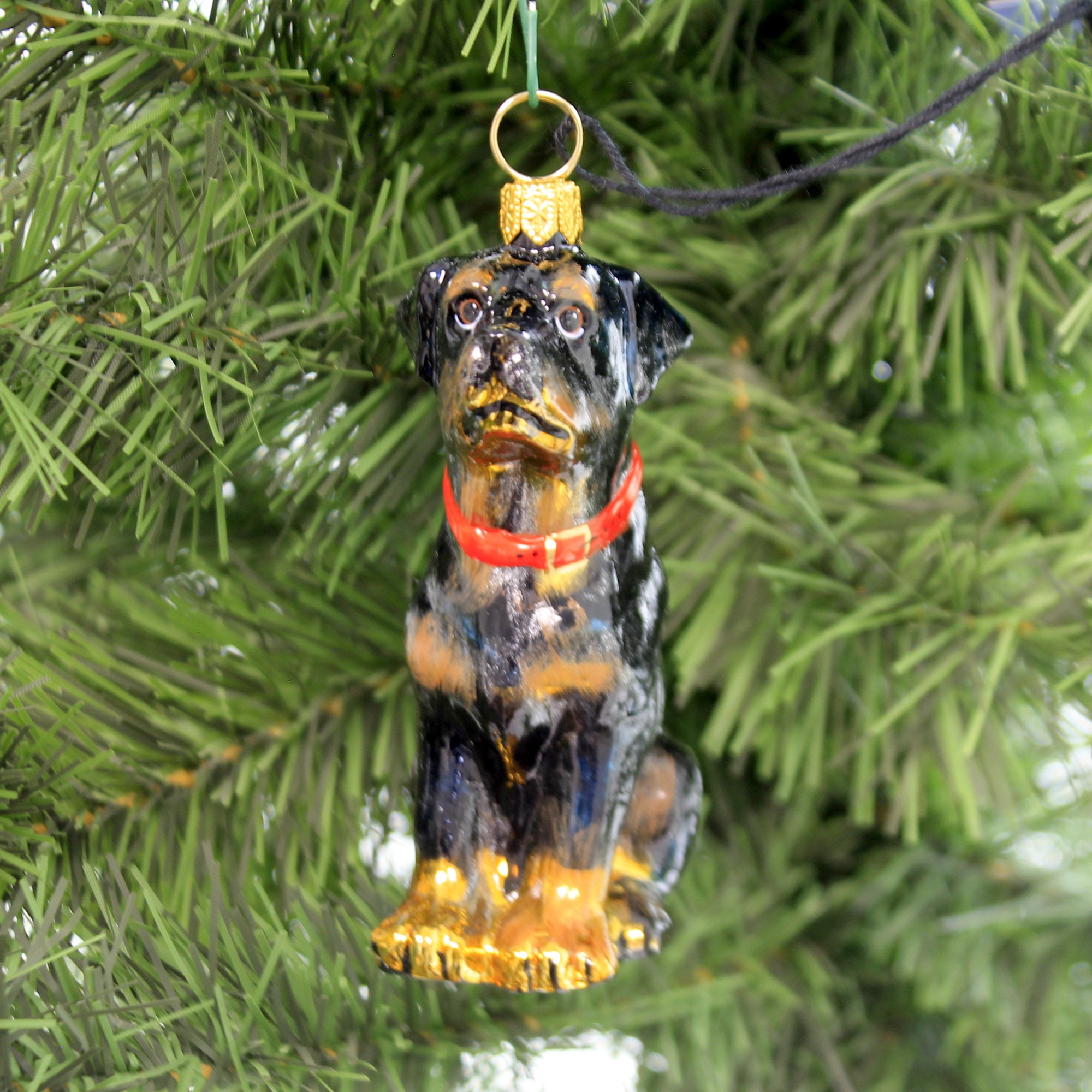 Rottweiler 1 Ornament 3.5 Inch Glass Ornament Pet Set Dog Companion Zkp3825 SBKGifts