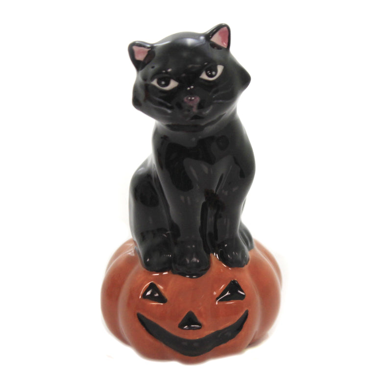 Tabletop Owl/Black Cat Slat & Pepper Set - - SBKGifts.com