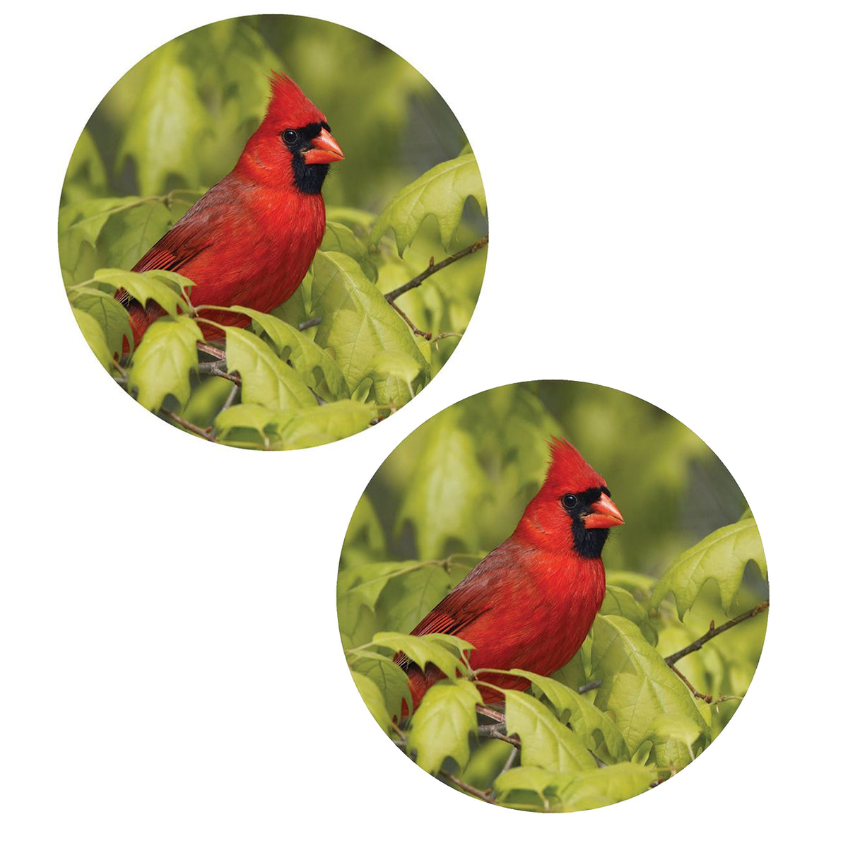 44884 Cardinal Car Coaster CC73210