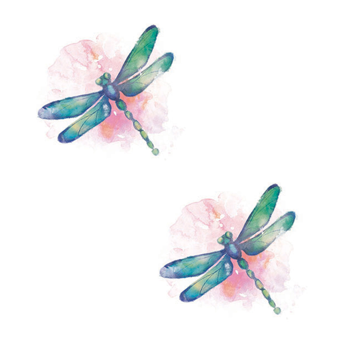 44889 Dragonfly Car Coasters CC72752
