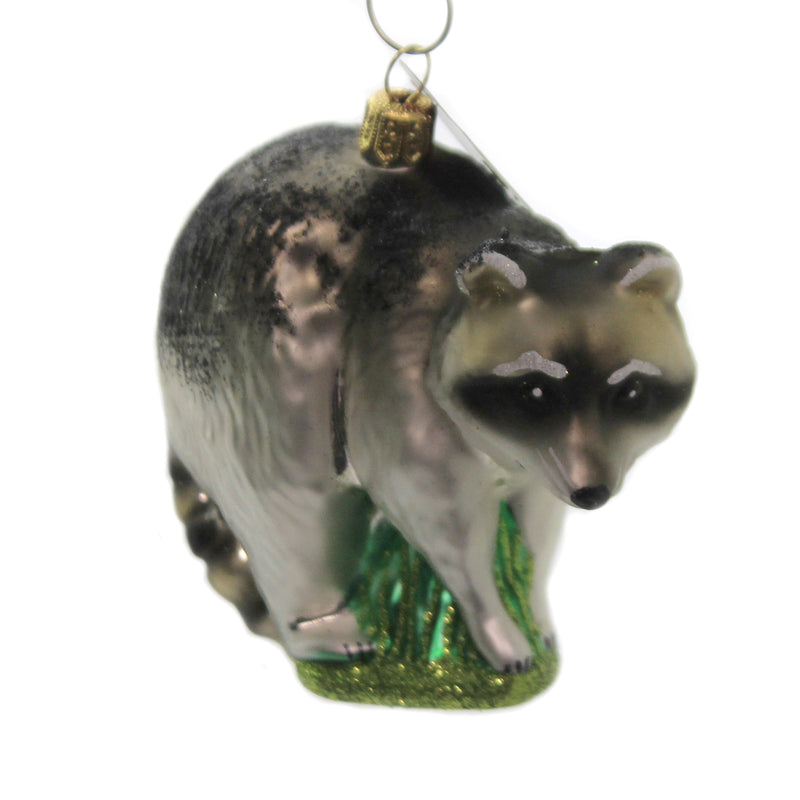 Raccoon. - One Ornament 3.25 Inch, Glass - Black Mask Black Tail Rings A1229 (45250)